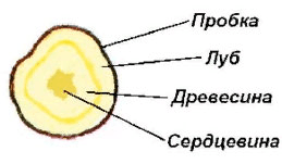 Решение рисунок 4